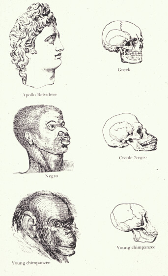 Illustration from Knott and Glidden's "Indigenous Races of the Earth"